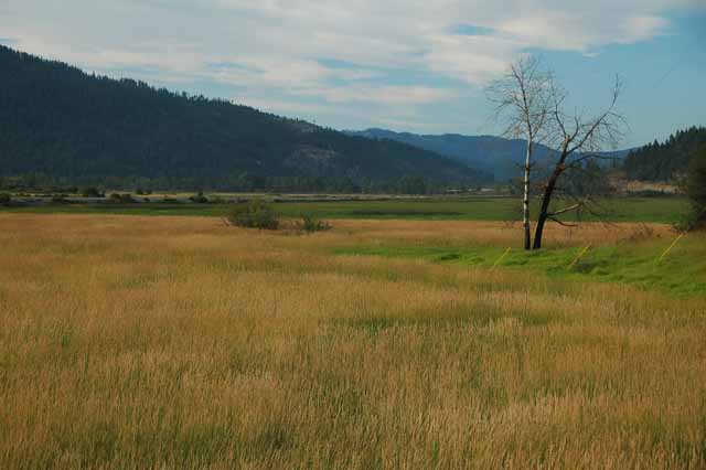 Lake Cd'A Scenic Byway